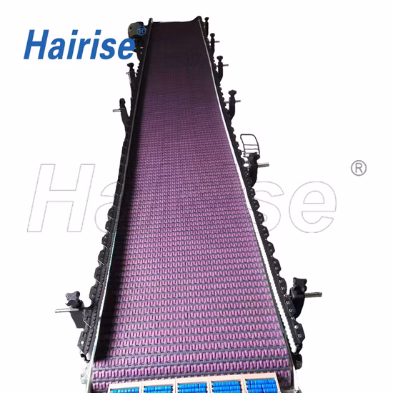Hairise Food Grade Ransportation Equipment Conveyor for Beverage Industry with ISO Certificate